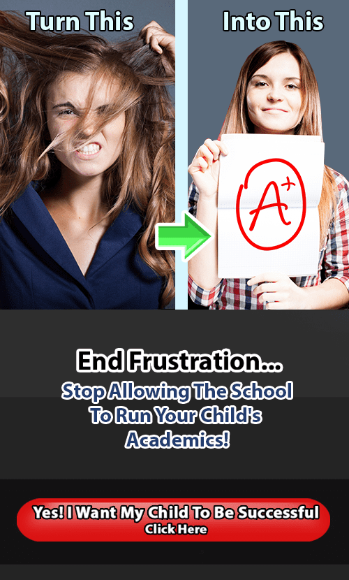 The Damaged Reality Of Special Education